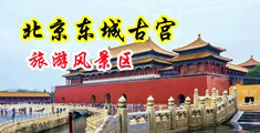 老妇少夫啪啪福利视频中国北京-东城古宫旅游风景区